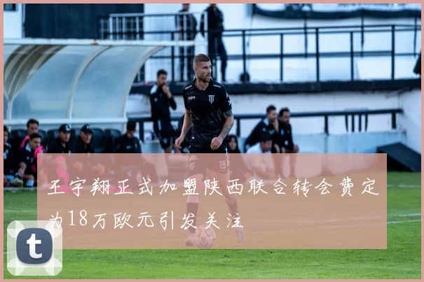 王宇翔正式加盟陕西联合转会费定为18万欧元引发关注